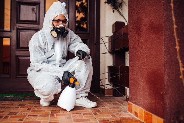 Reliable Wasp Removal contractor in Williamsburg, VA by Show Me Pest Control
